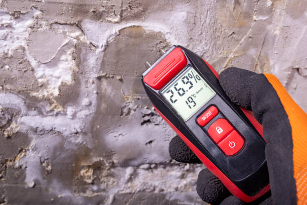 Best Residential Mold Removal  in Saukville, WI