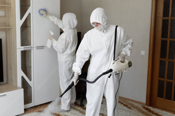 Attic Mold Removal in Saukville, WI